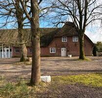 Reetgedecktes Wohn- und Geschäftshaus im Dorfzentrum - Süderlügum