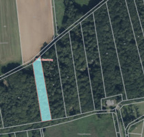 2559m2 Wald in Meurich kreis Trier Saarburg