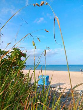 Foto - andere in Langenhagen