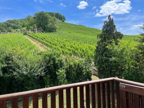 Foto - Wohnung in Herzen des Steigerwaldes zu vemieten Castell