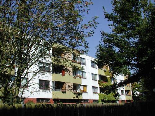 Foto - Modernisierte Wohnung mit Loggia zu vermieten!