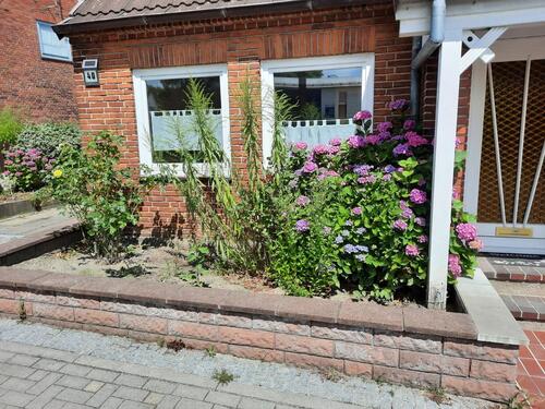Foto - Gemütliche Doppelhaushälfte in Schleswig-Nord zu vermieten