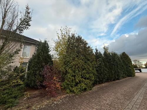 Foto - Einfamilienhaus in Peine zum Kaufen