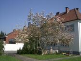 Foto - Gemütliche,helle Dachgeschoßwohnung im Bielefelder Westen zu verm