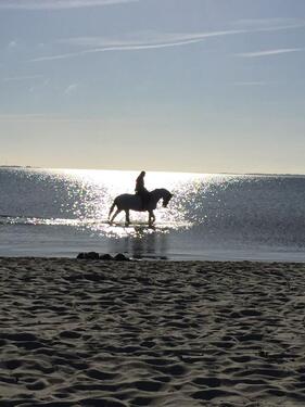 Foto - andere zur Miete in Glücksburg (Ostsee)