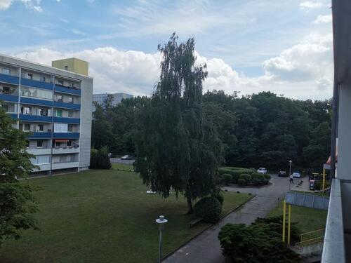 Foto - 