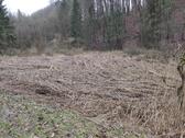 Foto - Grundstück im Biotop Wasserschutzgebiet