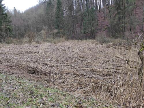 Foto - Grundstück im Biotop Wasserschutzgebiet