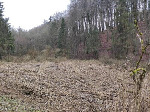 Foto - Grundst&uuml;ck zur Miete in Lauterhofen