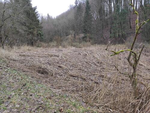 Foto - Grundst&uuml;ck in Lauterhofen