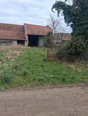 Foto - Einfamilienhaus in Otzberg