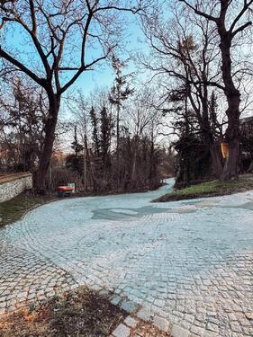 Foto - Etagenwohnung in Dresden zur Miete