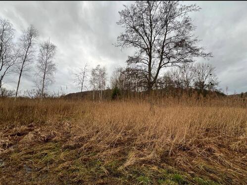 Foto - Grundstück zur Miete in Tiefenbach