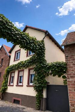 Foto - 7 Zimmer Reihenhaus zum Kaufen in Maikammer