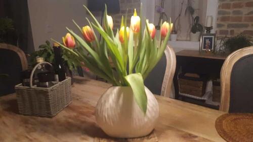 Foto - 8 Zimmer Einfamilienhaus zum Kaufen in Potsdam