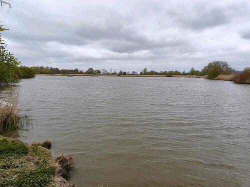 Foto - 6 Zimmer Doppelhaushälfte zur Miete in Nordenham