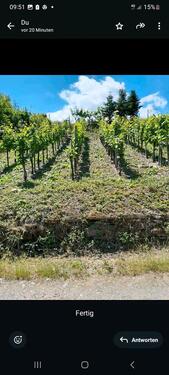 Foto - Grundstück zur Miete in Zell (Mosel)