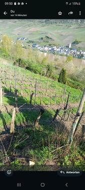 Foto - Grundstück in Zell (Mosel)