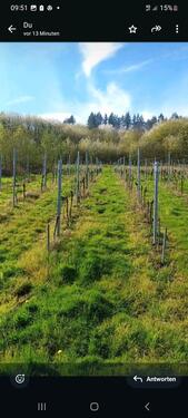 Foto - Grundstück in Zell (Mosel) zur Miete