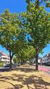 Foto - 3 Zimmer Einfamilienhaus zum Kaufen in Bonn