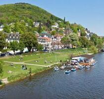 Wohnung Heidelberg-Neuenheim. 150m zur Neckarwiese
