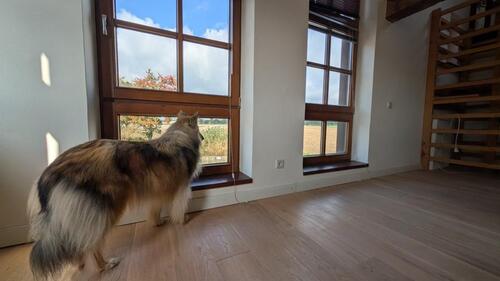 Foto - Etagenwohnung in Neukirchen-Vluyn