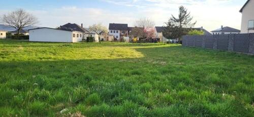 Foto - Grundstück zur Miete in Wittlich