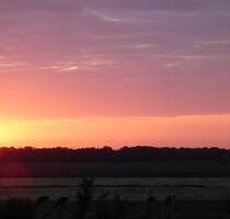 Top 3 Zimmer im Grünen. - 535,00&nbsp;EUR Kaltmiete, ca.&nbsp; 62,00&nbsp;m&sup2; in Großefehn (PLZ: 26629)