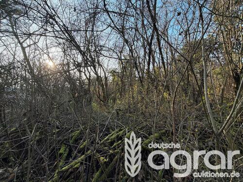 Foto - Naturbelassene Grundstücke (ca. 477 m²) im Nordosten von Frankfurt am Main nahe Friedhof-Enkheim