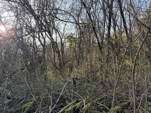 Foto - Grundst&uuml;ck in Frankfurt am Main zum Kaufen