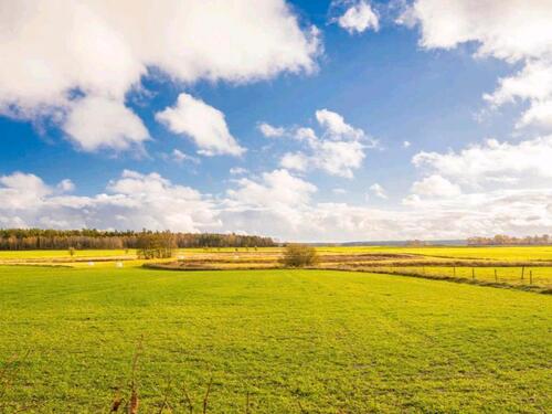 Foto - Einfamilienhaus in Neustadt (Hessen)