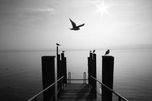 Foto - andere zur Miete in Meersburg