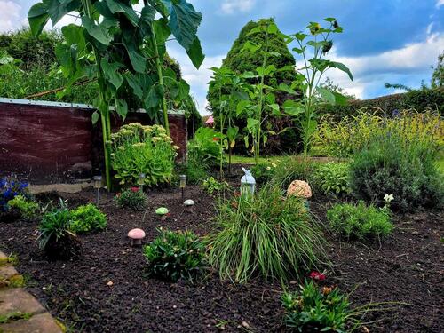 Foto - Grundst&uuml;ck zur Miete in Wolfsburg
