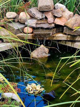 Foto - Grundst&uuml;ck in Wolfsburg zur Miete