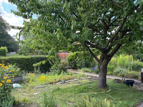 Foto - Grundst&uuml;ck zur Miete in Braunschweig