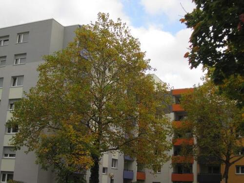 Foto - Fassadenvollwärmeschutz, Aufzug und ruhige Stadtlage