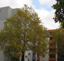 Fassadenvollwärmeschutz, Aufzug und ruhige Stadtlage - Karlsruhe Beiertheim-Bulach