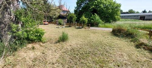 Foto - andere in Grimma