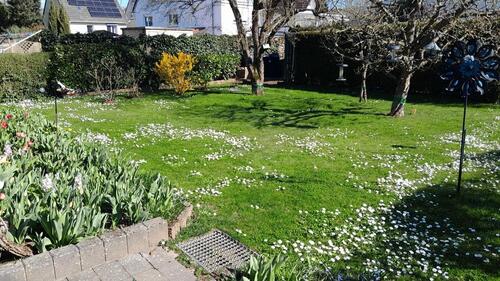 Foto - 5 Zimmer Reihenhaus in Meisenheim