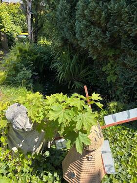 Foto - Einfamilienhaus in Uetersen zum Kaufen