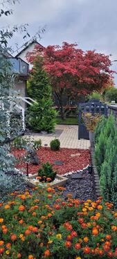 Foto - Einfamilienhaus in Seligenstadt mit EW, 274 qm, Provisionsfrei