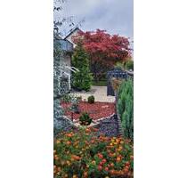 Einfamilienhaus in Seligenstadt mit EW, 274 qm, Provisionsfrei