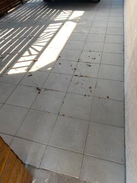 Foto - 3 Zimmer Einfamilienhaus in Burg (Dithmarschen)