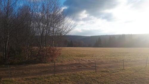 Foto - Eigentumswohnung mit Traumhaftem Blick in den Schwarzwald