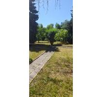 BESTLAGE GROSSER BALKON NEU SANIERT LICHTDURCHFLUTET KLEMMBERG - Weißenfels