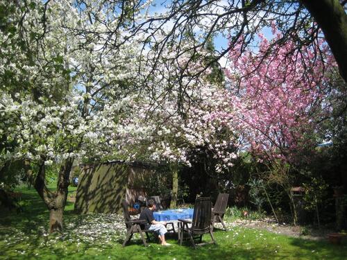 Foto - Etagenwohnung in Gelsenkirchen zur Miete