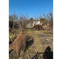 Pachtgarten in Cottbus Sandow - 3.000,00&nbsp;EUR Kaltmiete, ca.&nbsp; 0,00&nbsp;m&sup2; in Cottbus (PLZ: 03046)