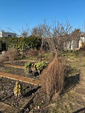 Foto - Grundst&uuml;ck zur Miete in Cottbus