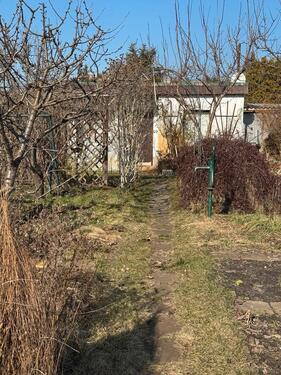 Foto - Grundst&uuml;ck in Cottbus zur Miete