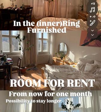 Foto - Zimmer zu vermieten. - 700,00&nbsp;EUR Kaltmiete, ca.&nbsp; 25,00&nbsp;m&sup2;